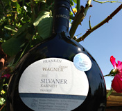 Impressionen aus dem Weingut Wagner - Silvaner Kabinett Bocksbeutel