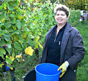Impressionen aus dem Weingut Wagner - Frau Wagner